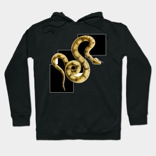 Snake on chess Hoodie